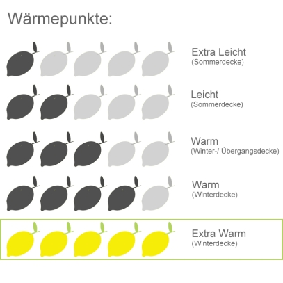 Alpaka 4 Jahreszeiten Bettdecke basic natur Alpasoft